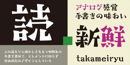 Takameiryu Font Poster 2